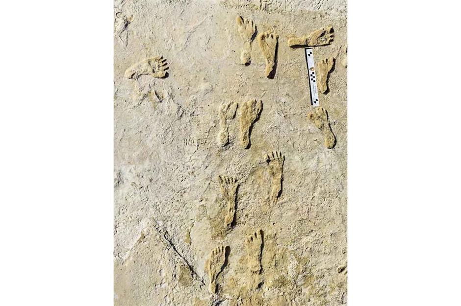 New Mexico: Fossilized footprints, White Sands National Park